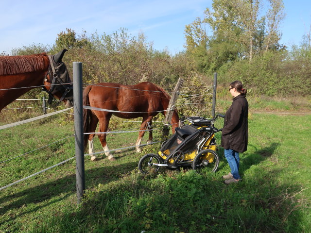 Nils und Sabine beim ReitClub Donaustadt