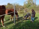 Nils und Sabine beim ReitClub Donaustadt