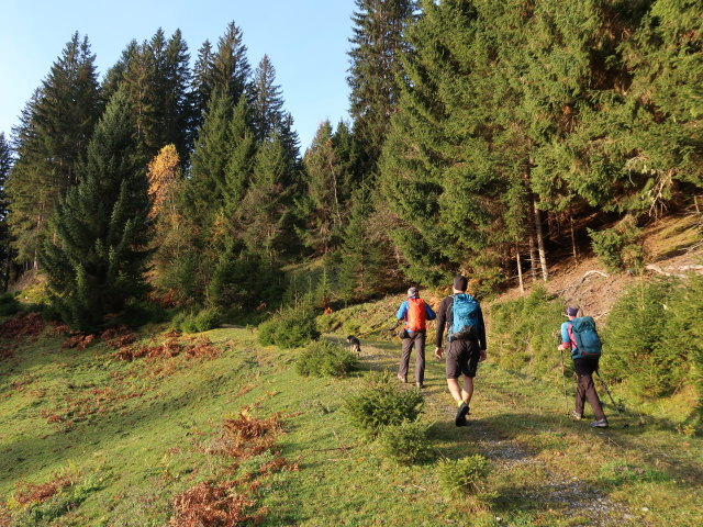 Georg, Frank und Sarah im Dorfer Wald