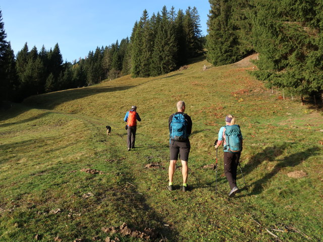 Georg, Frank und Sarah im Dorfer Wald