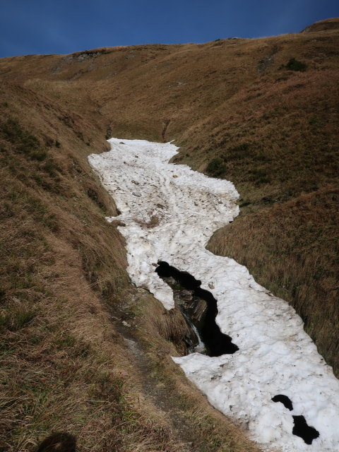 zwischen Kar-Katzenkopf und Marktrevier