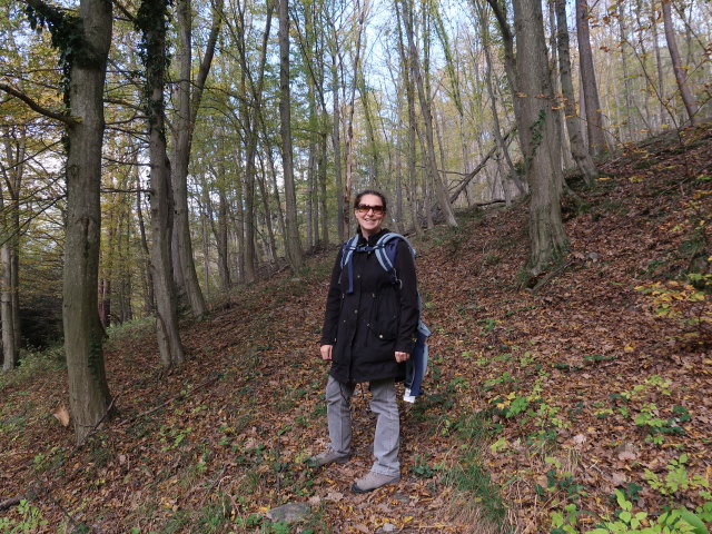 Sabine zwischen Schlöglmühl und Auf der Wiese