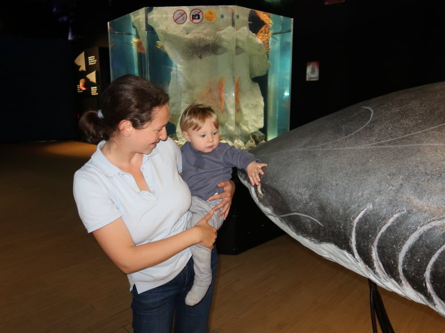 Sabine und Nils im Ingresso Blu im Acquario di Cattolica (3. Nov.)