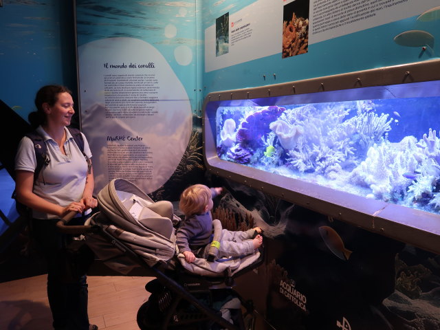 Sabine und Nils im Ingresso Blu im Acquario di Cattolica (3. Nov.)