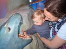 Nils und Sabine im Ingresso Blu im Acquario di Cattolica (3. Nov.)