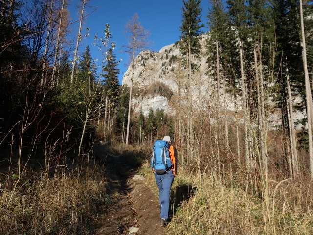 Frank zwischen Sackwaldboden und Häuselalm (16. Nov.)