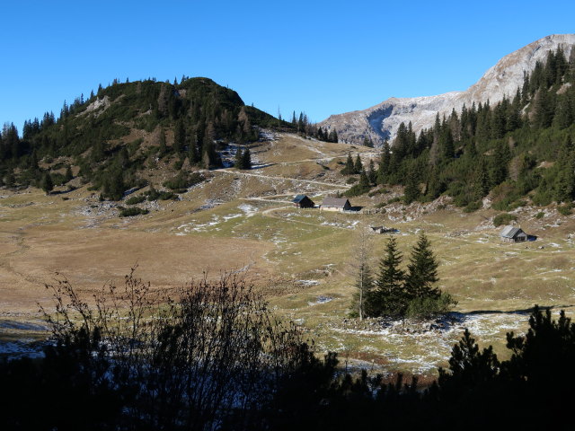 Sackwiesenalm (16. Nov.)