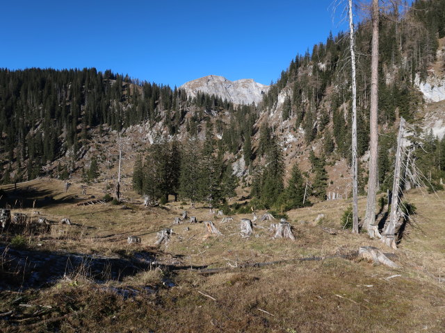 Plotschboden (16. Nov.)