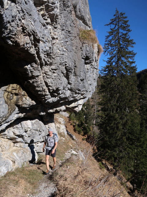 Frank zwischen Plotschboden und Sonnschienalm (16. Nov.)