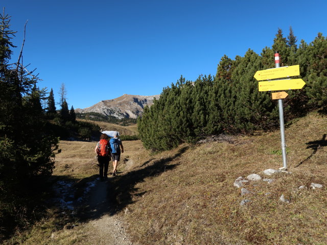 Melanie und Frank zwischen Plotschboden und Sonnschienalm (16. Nov.)