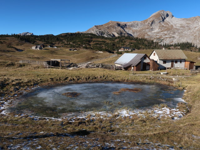 Sonnschienalm (16. Nov.)