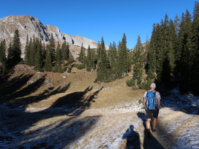 Frank zwischen Sonnschienalm und Sackwiesensee (16. Nov.)