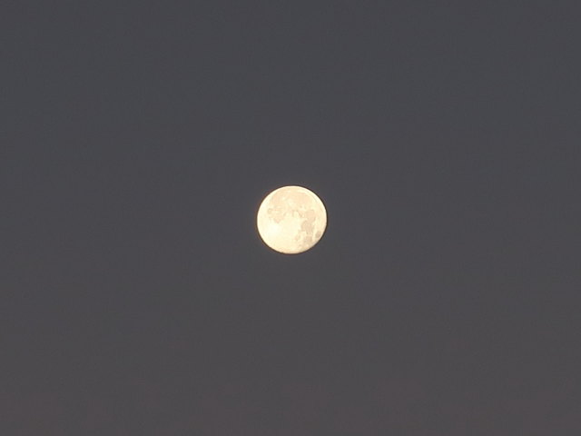 Mond über der Häuselalm, 1.526 m (17. Nov.)