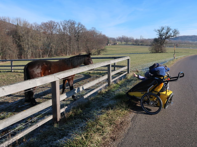 Nils und Sabine in Gschwendt, 308 m