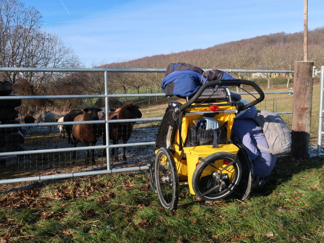 Sabine in Gschwendt, 308 m