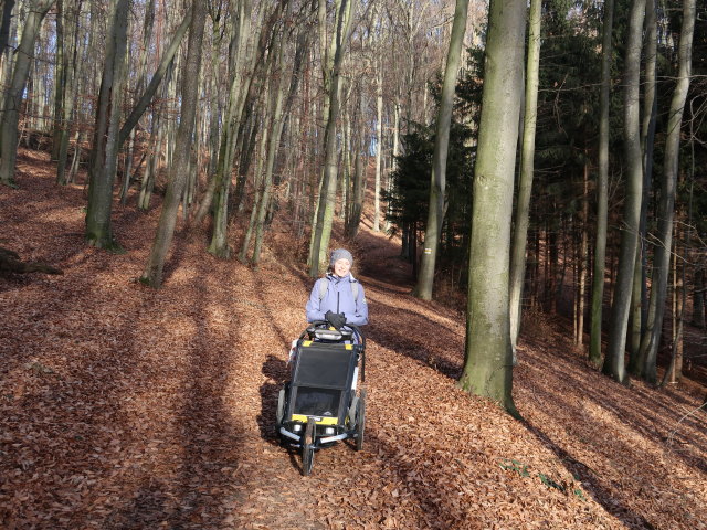 Sabine zwischen Buchberg und Almersberg