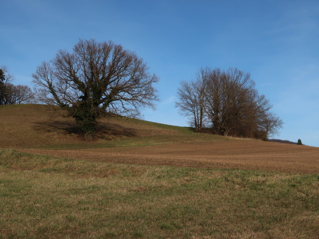 zwischen Almersberg und Neulengbach