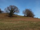 zwischen Almersberg und Neulengbach