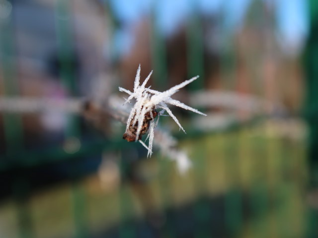 Heitzinger Stra&szlig;e in Maria Anzbach