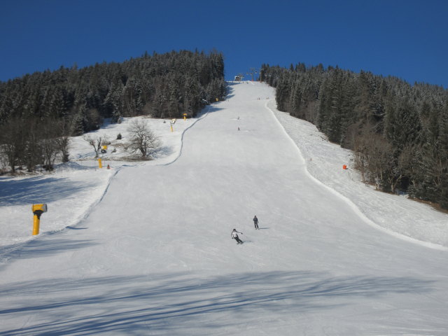 Ronald auf der Sch&uuml;ttabfahrt