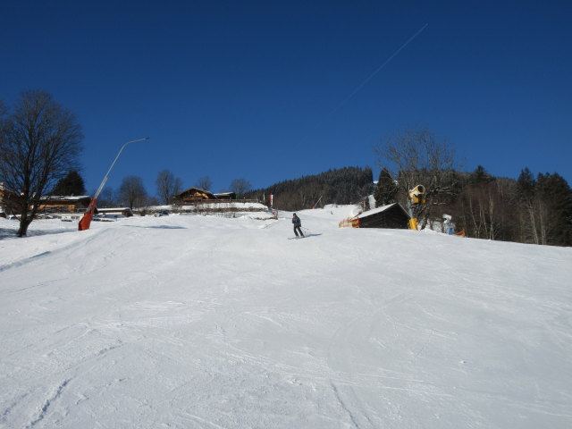 Ronald auf der Sch&uuml;ttabfahrt