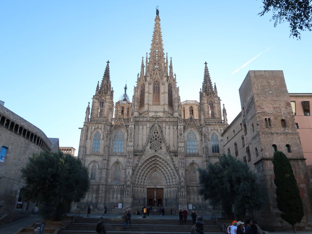 Catedral de Barcelona (7. J&auml;n.)