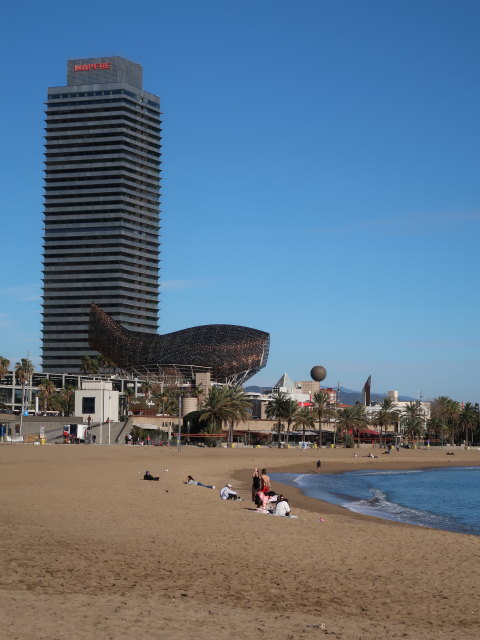 Platja del Somorrostro (7. J&auml;n.)