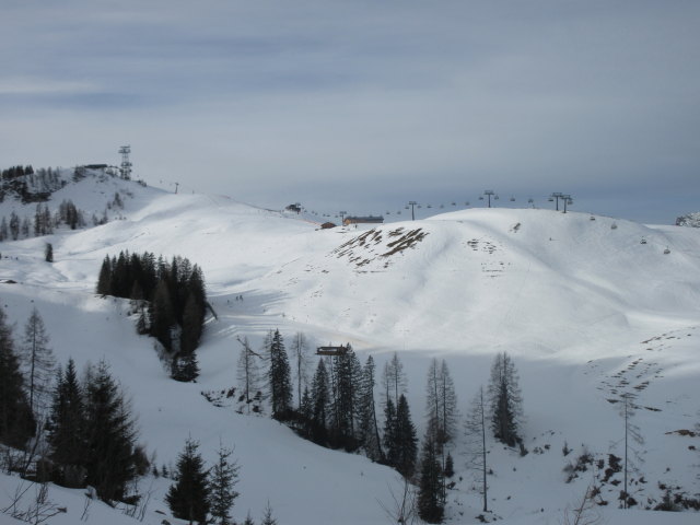 Loferer Alm