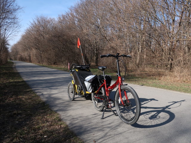 Donauinsel zwischen Reichsbr&uuml;cke und Donaustadtbr&uuml;cke