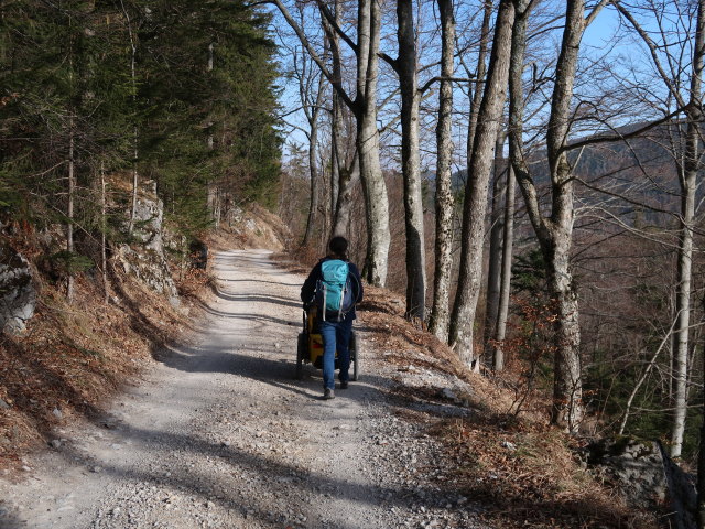 Sabine zwischen &Ouml;hler-Schutzhaus und Haltberghof
