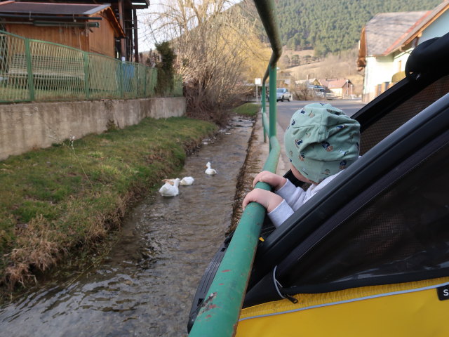 Nils in Puchberg am Schneeberg