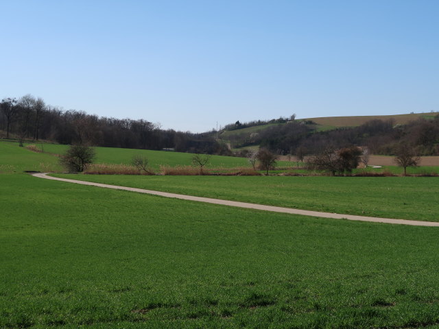 zwischen Niederkreuzstetten und Hautzendorf