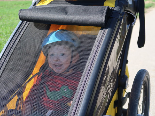 Nils zwischen Schleinbach und Ulrichskirchen