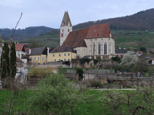 Pfarrkirche Spitz, 223 m