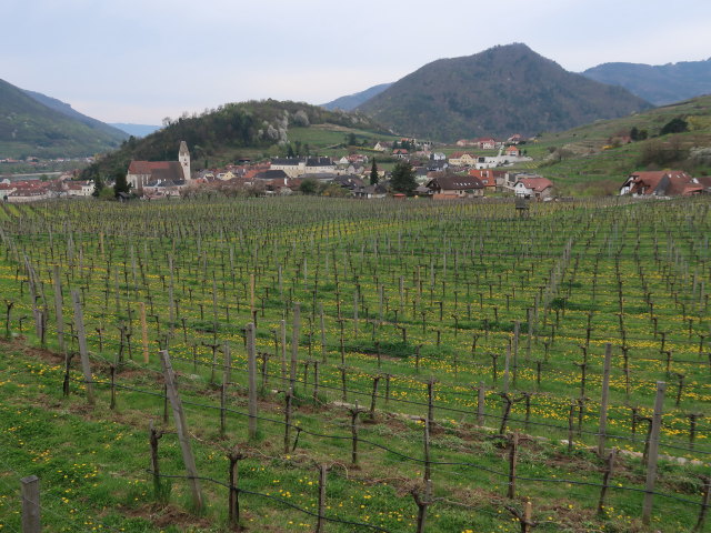 zwischen Spitz an der Donau und Rotem Tor