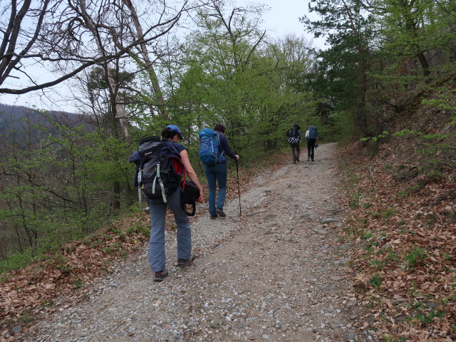 Sonja, Kerstin, Stefan und Katja Lin am Welterbesteig zwischen Mieslingtal und St. Michael