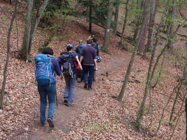 Kerstin, Sonja, Katja Lin, Tim und Stefan am Welterbesteig zwischen Mieslingtal und St. Michael