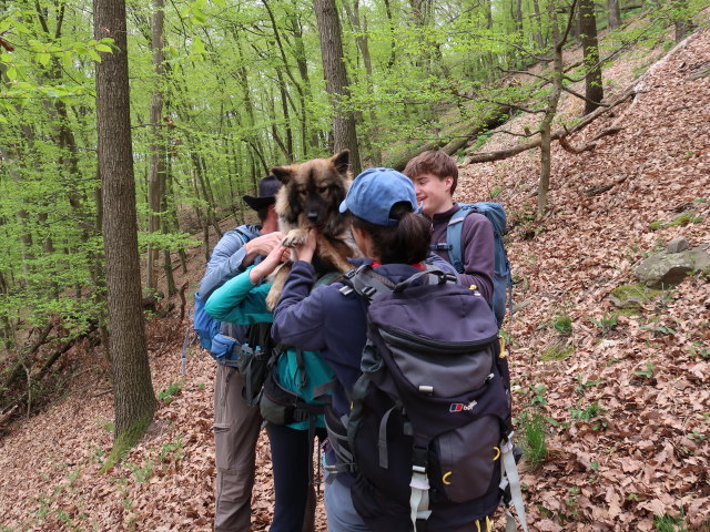 Stefan, Katja Lin, Sonja und Tim am Welterbesteig zwischen Mieslingtal und St. Michael