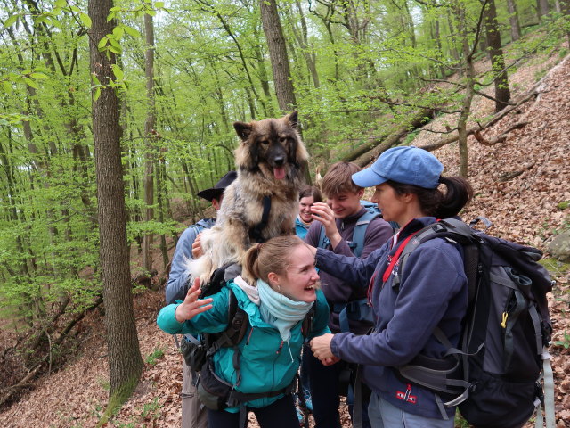 Stefan, Katja Lin, Kerstin, Tim und Sonja am Welterbesteig zwischen Mieslingtal und St. Michael