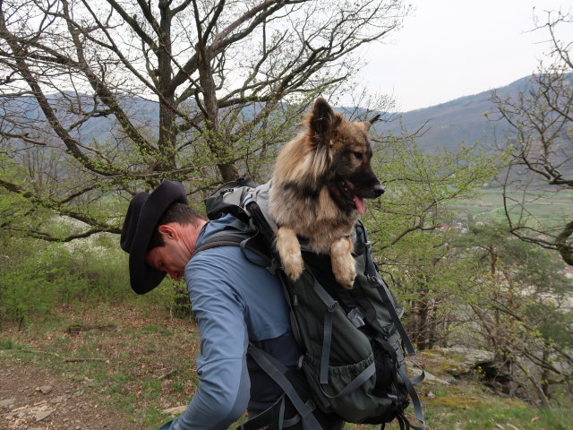 Stefan am Welterbesteig zwischen Mieslingtal und St. Michael