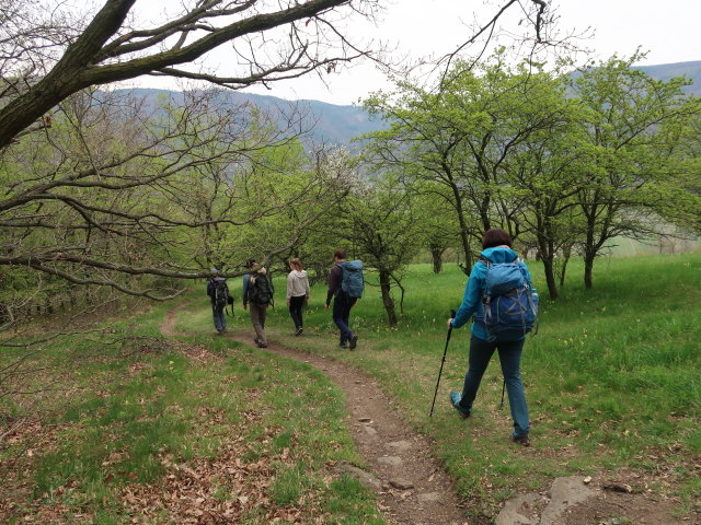 Sonja, Stefan, Katja Lin, Tim und Kerstin am Welterbesteig zwischen Mieslingtal und St. Michael