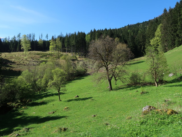 zwischen P&ouml;lzau und Seisenalm