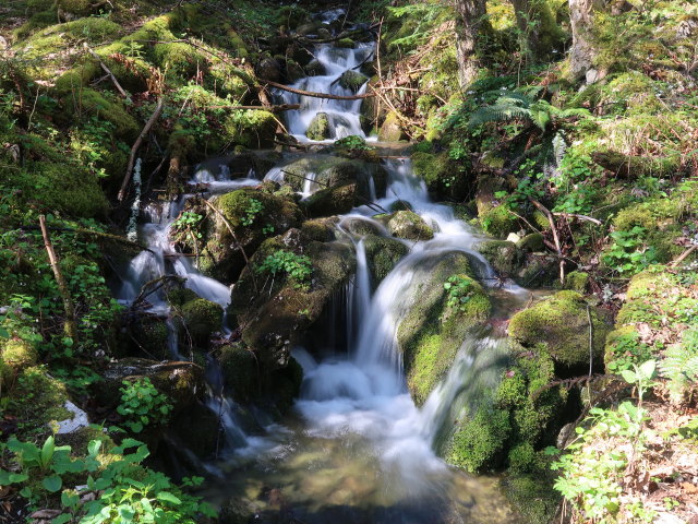 zwischen P&ouml;lzau und Seisenalm