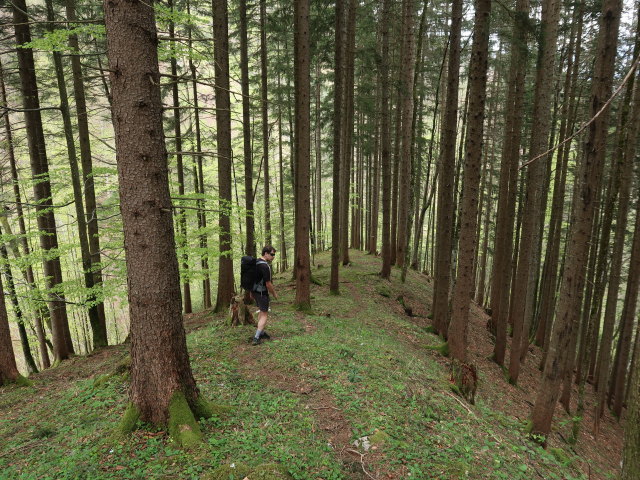 Ronald zwischen Sauboden und Spitzenbach
