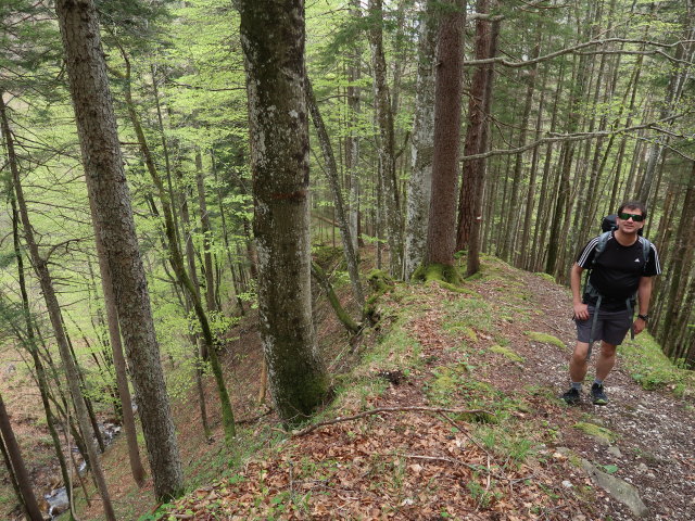 Ronald zwischen Sauboden und Spitzenbach