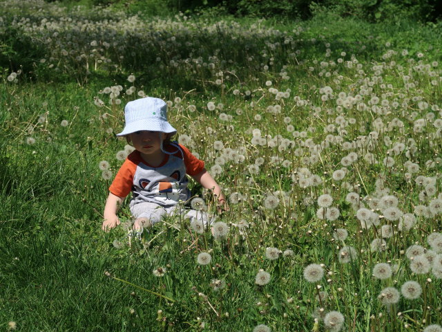 Schlosspark: Nils zwischen Schlosstheater Laxenburg und Triestingkanal