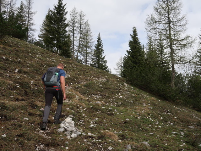 Mario zwischen Sohlenalm und Kleinem Wildkamm