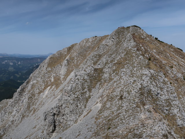 zwischen Gro&szlig;em Wildkamm und Gingatzwiese