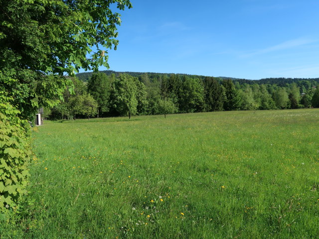 zwischen Oberaschau und Sch&ouml;ffbaumer-Kapelle