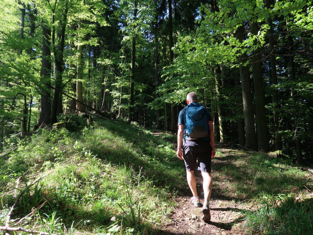 Frank zwischen Sch&ouml;ffbaumer-Kapelle und Br&uuml;ckelstube